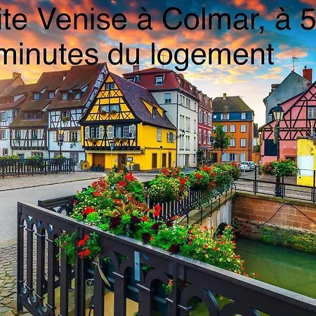Studio Lumineux, A 2 Minutes De Colmar Horbourg Exterior photo