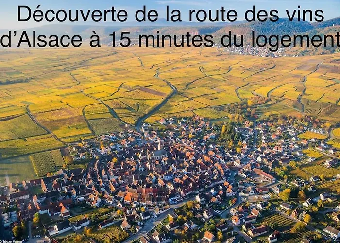 Studio Lumineux, A 2 Minutes De Colmar