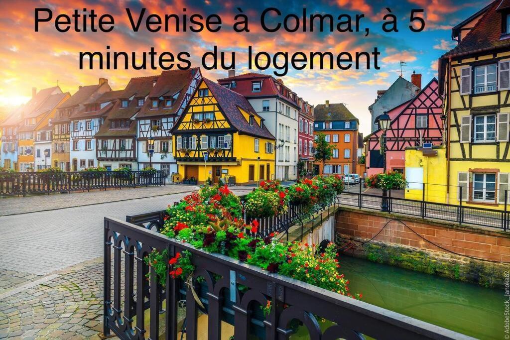 Lumineux, A 2 Minutes De Colmar