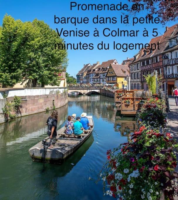 Lumineux, A 2 Minutes De Colmar Appartement *