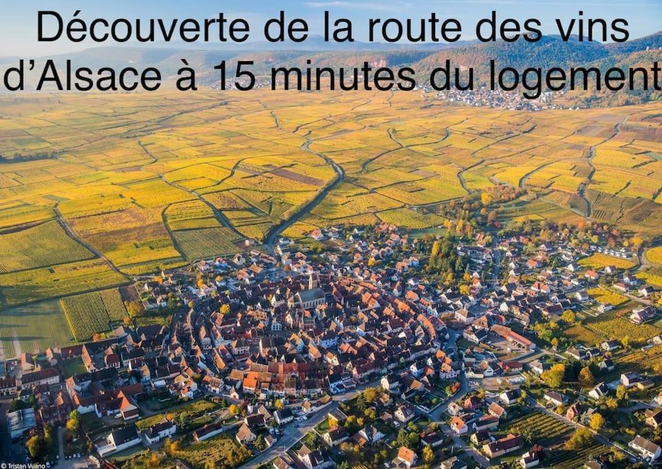 Lumineux, A 2 Minutes De Colmar Appartement